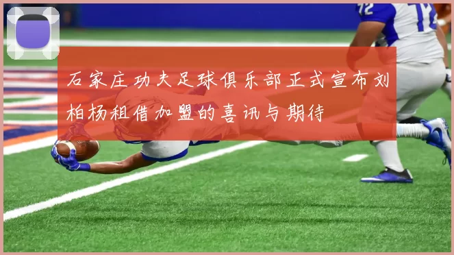 石家庄功夫足球俱乐部正式宣布刘柏杨租借加盟的喜讯与期待